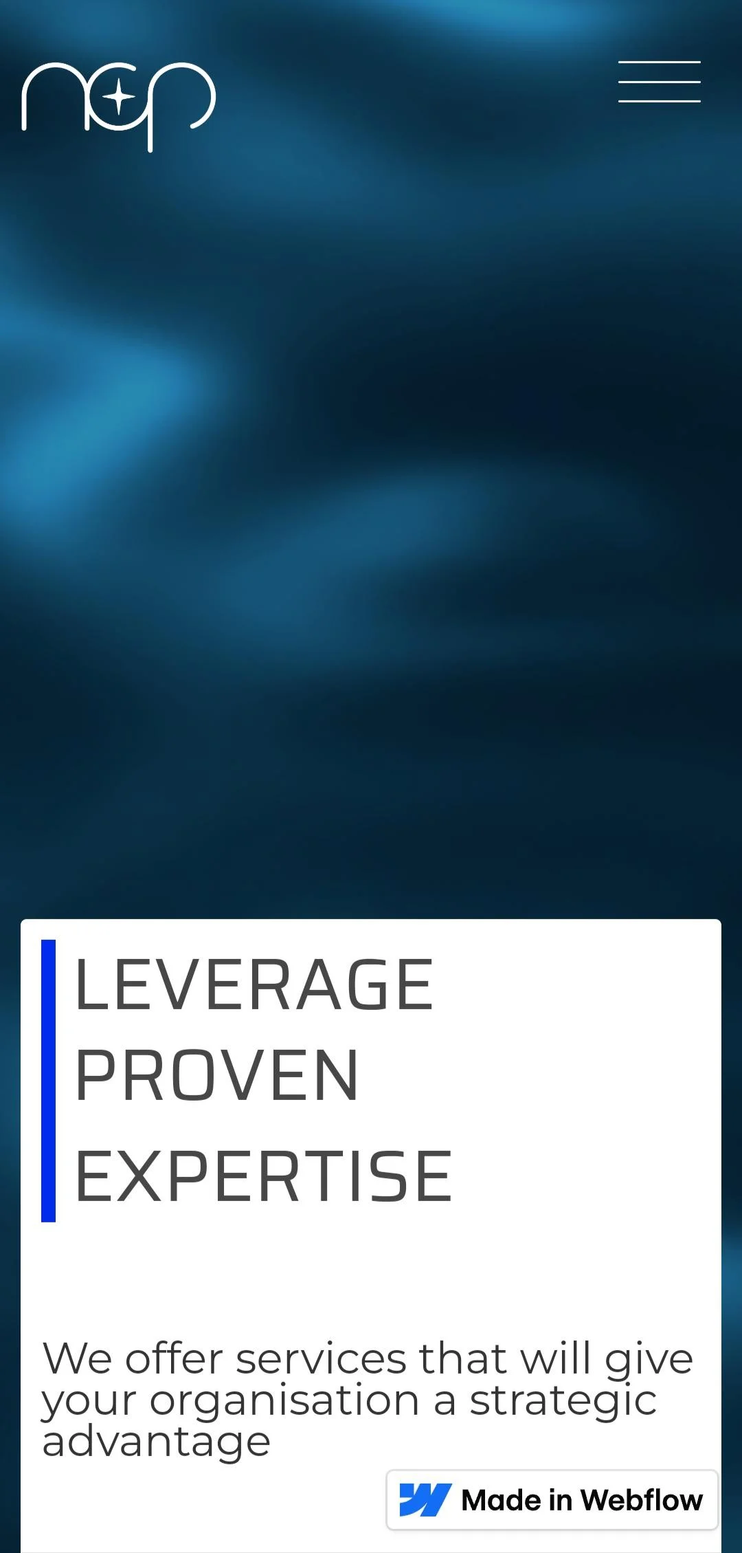 An image of the project home screen